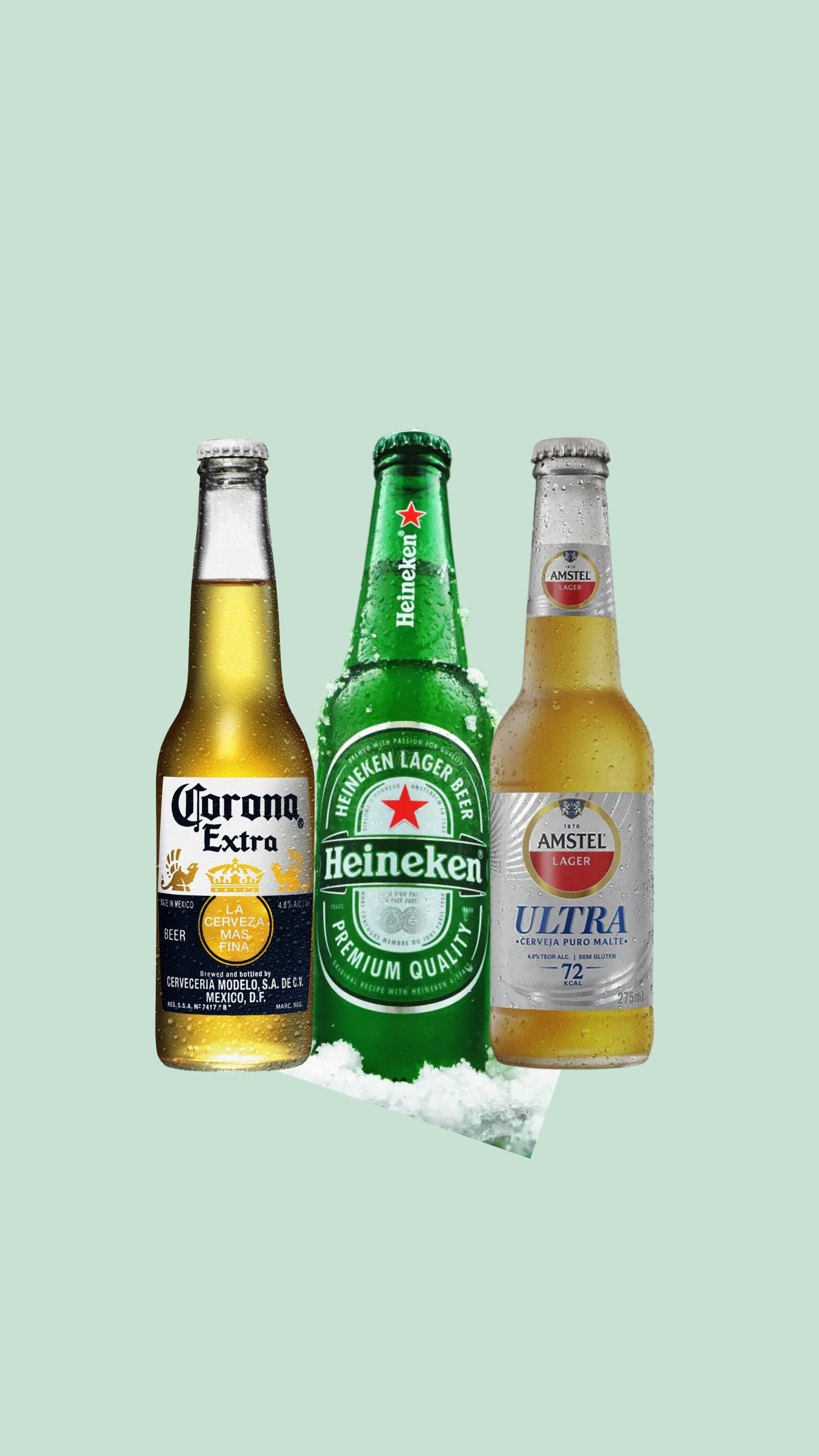 CERVEJA LONG NECK